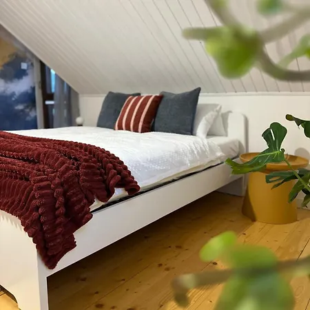 Misiorka Villa Zwardon